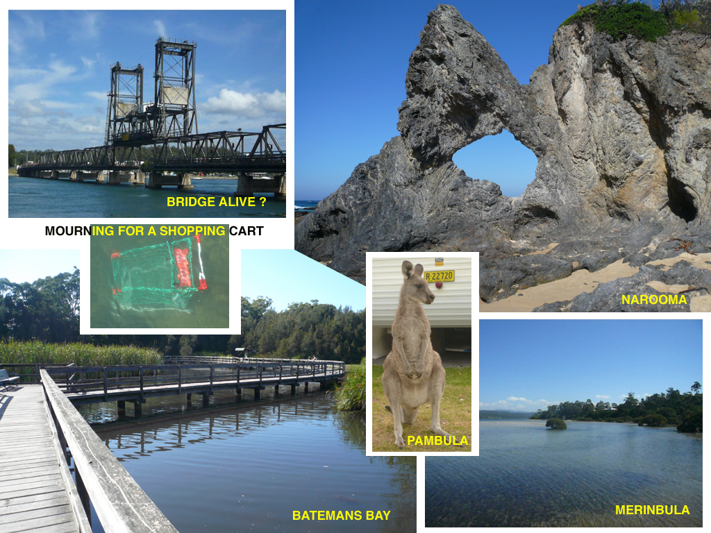 Sapphire Coast display